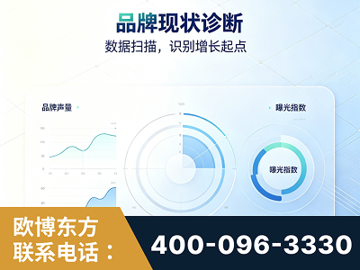 无为-品牌现状诊断