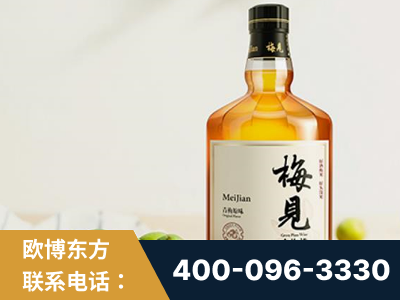 无为-梅见青梅酒